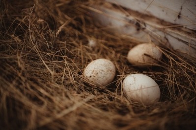 Regional health authority ARS Île-de-France, which covers Paris and its surrounds, is advising all its citizens to avoid consumption of homegrown eggs sourced from the region. GettyImages/madisonwi
