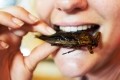 'Western' consumers trying insects are more likely to be young and adventurous. Images source: Urilux/Getty Images