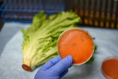 While Listeria is generally associated with ready-to-eat foods such as dairy cheeses and deli meats, manufacturers cannot ignore the potential risk in plant-based products – including from post-processing contamination. GettyImages/Manjurul