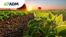 Innovate with locally sourced plant-forward solutions.