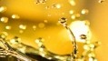 Maximizing Cost Efficiency with Mirror High Oleic Technology in Commodity Oils