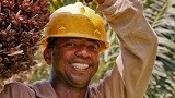 Sustainable palm oil is on everybody’s lips