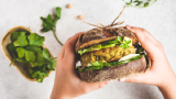 Decoding plant proteins to build the ideal alternative protein product